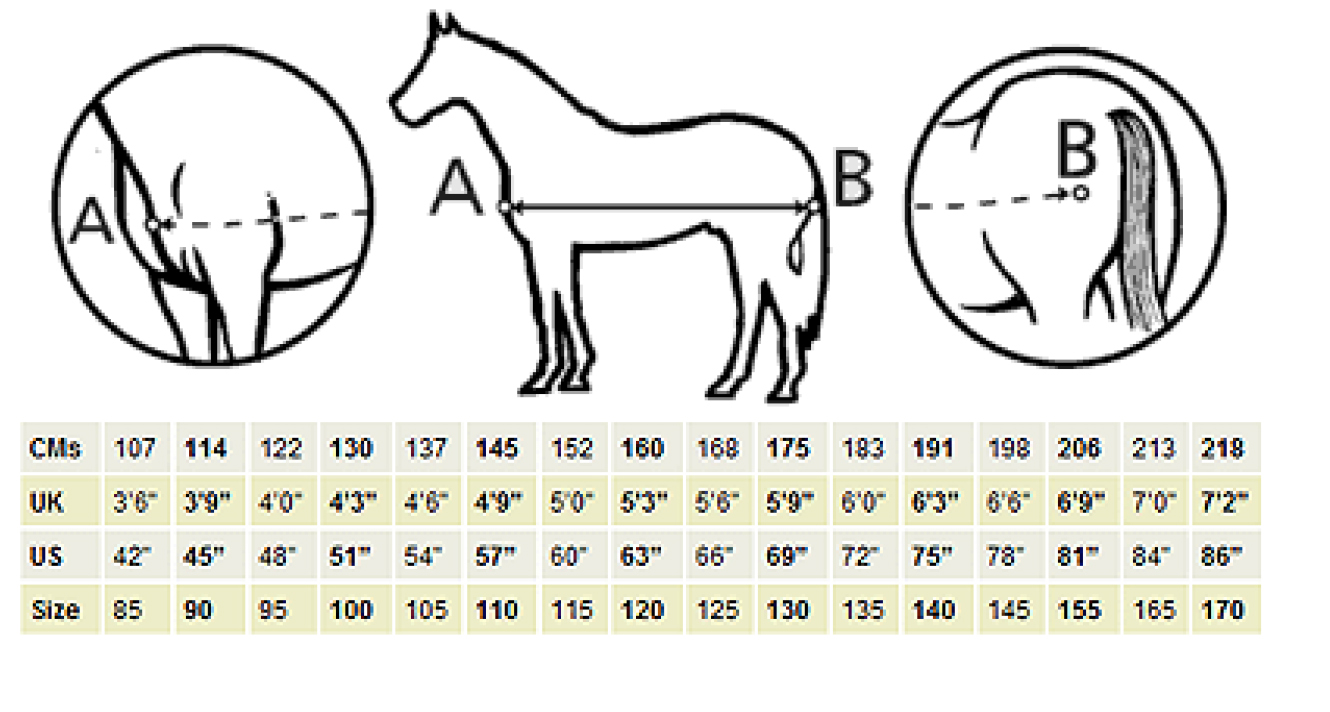 Horse Blanket Temperature Chart